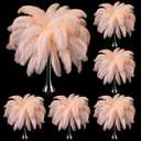 Berlune 150 Pcs Natural Ostrich Feathers Bulk 12-14 Inch (30-35 Cm) Ostrich Feathers Plumes for DIY Crafts Wedding Party Centerpieces Party Decorations(Champagne)