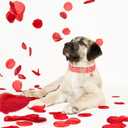Valentine's Dog Collar,Red Heart Dog Collar for Small Medium Large Girl Boy Dogs or Cats, Wedding Dog Collar Match Dog Leash, Pet Collar with Metal Buckle, L