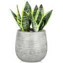 DILATATA Ceramic Pots with Drainage Hole 6.7 Inch Flower Plant Pot Indoor Round Planter Pot for Succulents, Cacti, Cactus, Snake Plants Home Decor - Silver