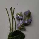 4 Pcs 20'' Gray Purple Real Touch Hydrangea Artificial Flowers Vintage Lifelike Latex Hydrangeas Long Stem for Boho Home Decor Porch Outdoor Wedding Kitchen Xmas Table Centrepiece
