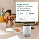 BOSCH Air Purifier for Home, Small Spaces (Covers, 500-sq ft), 2-in-1 Filter for Pollen, Smoke, Dust, Dander, Outdoor Pollution, Odors, Air 500, White