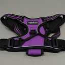 rabbitgoo Dog Harness, No-Pull Pet Harness with 2 Leash Clips, Adjustable Soft Padded Dog Vest, Reflective No-Choke Pet Oxford Vest with Easy Control Handle for Large Dogs, Purple, Large 