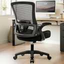 NEO CHAIR Office Desk Gaming Chair Computer High Back Mesh Seat with Rolling Wheels Ergonomic Adjustable Comfy Flip-up Armrests Lumbar Support Height for Home (Black)