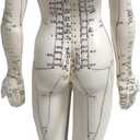 Female Acupuncture Model 19" with Chinese and English Points