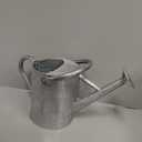 SunnyTong Metal Watering Can for Outdoor and Indoor Plants, Watering Can Decor, 1 Gallon (Zinc Stainless Steel Handle)