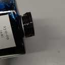 Pilot Iroshizuku Fountain Pen Ink - 50 ml Bottle - Syo-ro Pine Tree Dew (Gray Turquoise) (japan import)