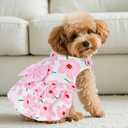 choyaxo Floral Dog Dress Cute Dog Skirt Pet Dress Summer Pet Clothes for Puppy Small Cats