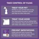 Amazon Basics Preventative Topical Flea Treatment for Large Cats (Over 9 Pounds), 6 Count