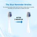 Replacement Toothbrush Heads Compatible with Waterpik Complete Care 5.0/9.0 (CC-01/WP-861), STRB-8WW,(6 Count, White)