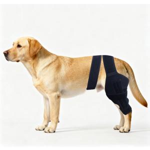 Dog Knee Brace for Torn ACL Hind Leg - Orthopedic Rear Leg Wrap with Metal Stabilizers for Support, for Small Medium Large Dogs, for Arthritis, Luxating Patella, and Joint Injury Recovery (M)