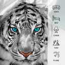 White Tiger Throw Blanket Soft Cozy Plush Fleece Blanket for Couch, Lightweight Warm Flannel Blanket Decorative Fuzzy Throws for All Season (50 x 60 in, White Tiger)