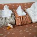 Baby Wipes Cover  Universal Size, One Size Fits All Wipes Packages | Muslin Cotton Tissue Cover for Nursery, Diaper Bag & Changing Table, Station | Gingham & Neutral Patterns (Cream Daisy)