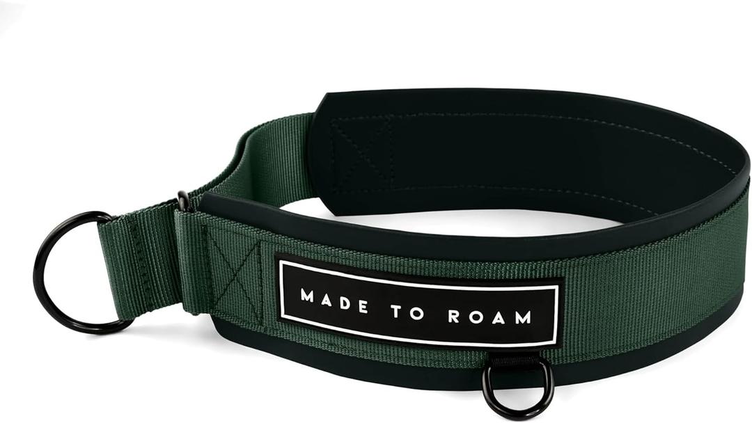 MADE TO ROAM Premium Everyday Dog Collar - Martingale Style No Pull Vegan Leather Collar, Heavy Duty and Lightweight for Small, Medium, Large Dogs (Maine Marina, Size 8) MADE TO ROAM Premium Everyday Dog Collar - Martingale Style No Pull Vegan Leather Collar, Heavy Duty and Lightweight for Small, Medium, Large Dogs (Maine Marina, Size 8)