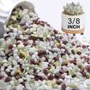 NUPICK 12 lbs Pebbles for Indoor Plants, 3/8 Inch Pea Gravel for Fish Tank, Polished Decorative Rocks for Succulent, Natural River Stones for Vases, Cactus, Landscaping, Bird Bath, Colorful Mixed