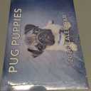 Pug Calendar 2026 Wall Puppies Monthly Pugs Gifts For Pug Lovers For Women Men Children | American Made In The USA