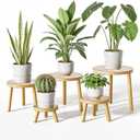 Delma Wood Plant Stands Indoor, 5-Pack Single Plant Stand for 6-12 Inch Pots, Mid-Century Modern Plant Stool, Tall Plant Stand for Large Plants for Living Room, Balcony, Office (Light Brown, 5-Pack)
