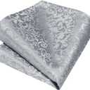 Enlision Mens Ties Solid Color Satin Necktie Ties for men Handkerchief Cufflinks Pocket Squares for Wedding (S1-light Grey Paisley)