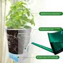 Cdd's Path Large Naked Root Planter Self Watering Pots Set with Holes for Indoor/Outdoor Plants, Planter Pot with Watering Hole/Reservior and Air Pipes (Clear, 8 inch-5 Pack)