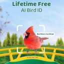 HIXX Smart Bird Feeder with Camera, AI Identify Birds & Auto Capture, 2K HD Live Camera Birdwatching with Color Night Vision for Bird Lovers Gifts (Green)