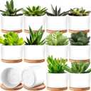 Cindeer 12 Sets Succulent Plant Pot Ceramic Succulent Pots Container Cactus Pots with Bamboo Tray Small Cylinder Flower Plant Pot with Bamboo Saucers for Plants Indoor Outdoor(White,3 x 2.17 Inch)