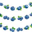 Blueberry Party Banners 3Pcs Berry Sweet Birthday Decorations Blueberry Cutout Banners Pre-Strung Berry Themed Baby Shower Decorations for Boys Girls Summer Fruit Birthday Party Supplies