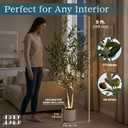 5ft (150 cm) Artificial Olive Tree with White Pot, Moss & USB LED 711 Leaves, 40 Olives, Realistic Fake Indoor Potted Plant for Home, Bedroom, Office & Living Room Decor