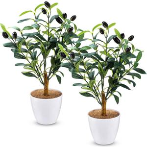 Giegxin 2 Pack 15.8 Inch Small Artificial Olive Tree Indoor 40cm Faux Olive Plant with White Pot for Home Office Room Table Modern Decor