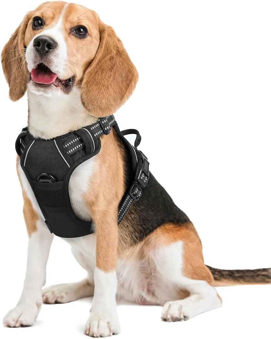 rabbitgoo Dog Harness No Pull with 2 Leash Clips, Adjustable Soft Padded, Reflective Oxford No Choke Pet Vest with Easy Control Handle for Small Dogs, Black, S