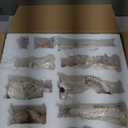 Nativity Set 5.7 Inch 11 PCS Christmas Village Nativity Scene Indoor Collectible Bulidings Nativity Sets & Figures Vintage Xmas Holiday Decorations Displays (Gold)