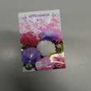 Seeds Aster Pompon Mix / Annual Flowers