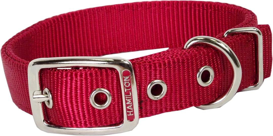 Hamilton Double Thick Nylon Buckle Dog Collar for Medium & Large Dogs, 1" Wide x 28" Neck, Red