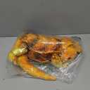 Wild Republic Living Earth Bearded Dragon, Stuffed Animal, 24 inch, Plush Toy, Fill is Spun Recycled Water Bottles