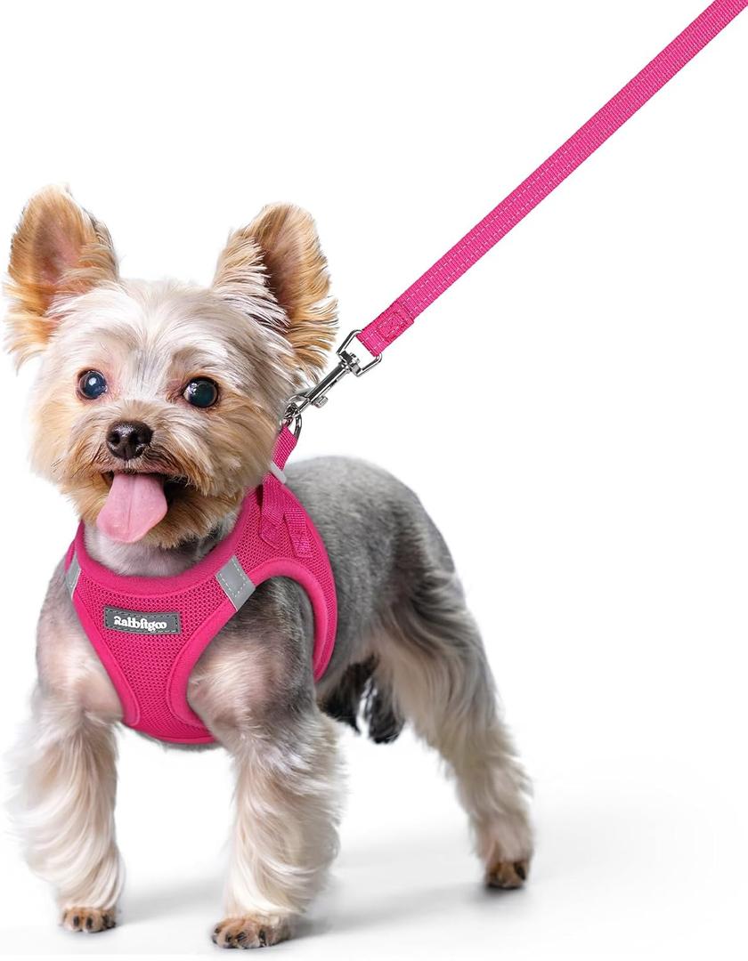 rabbitgoo Dog Harness Small Sized and Leash Set, Step in Soft Light Puppy Vest, Breathable Mesh Pet Harness, Reflective for Safe Easy Walking, Rose Red, (XS (Chest: 13.3 - 15.5"))