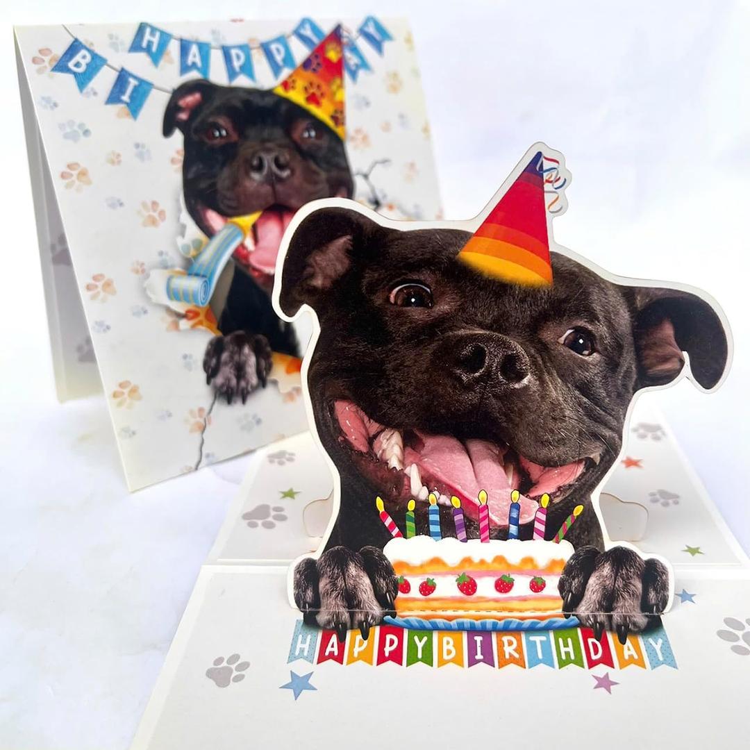 3 x Staffordshire Bull Terrier Birthday Card 3D Pop Up  Staffy with Party Hat & Birthday Cake, Funny Birthday Card for Staffy Lovers, Staffordshire Bull Terrier Mom Dad Gift, 6x6 Inch, Includes Envelope