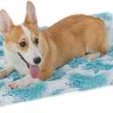 PJYuCien Fluffy Fleece Calming Pet Throw Blanket, Super Soft and Warm for Indoor Cats and Dogs, Medium 24 * 32", Machine Washable, Blue Diamond Pattern, White Puppy Bed