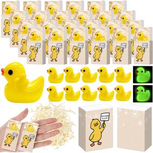 Yookeer 30 Sets Mental Health Gifts Funny Resin Duck Glow in The Dark Resin Duck with Your Present Is Inside Box, Naughty Office Gag Gifts for Coworker Adult Friend Women Men Employee (Yellow)