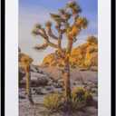 Art Emotion Black 16x24 Picture Frame  Displays 12x18 Photos with Mat or 16x24 Without Mat, Wall Hanging Photo Frame, 1-Pack