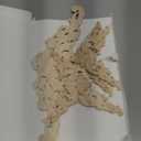 5 Pieces Wood Appliques and Onlays Wood Appliques for Furniture Decorative Wooden DIY Carved Onlay for Bed Door Cabinet Wardrobe Furniture Decoration(Large Size) (Delicate)