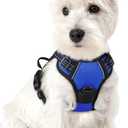 rabbitgoo Dog Harness No Pull with 2 Leash Clips, Adjustable Soft Padded, Reflective Oxford No Choke Pet Vest with Easy Control Handle for Puppy, Dazzling Blue,XS