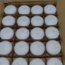 Treela 80 Pcs 1.73 Inch Unscented Floating Candles, Dripless Tealight Candles Home Decorations, Cute and Elegant Burning Candles for Wedding Vases Centerpieces Party Accessories (White)