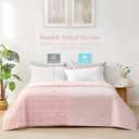 Cozy Bliss Seersucker Cooling Comforter Queen Size, Q-Max 0.45 Reversible Lightweight Cooling Blanket, Breathable Silk Smooth Summer Bedding Quilt for Hot Sleepers Night Sweats Pink