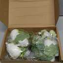 Luyue 2 Packs Peonies Artificial Flowers Vintage Faux Peony Bouquet Fake Flower for Vase Silk Floral Arrangements for Table Centerpiece Wedding Decoration Indoor Home Decor