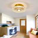 ZGLAOJT Modern LED Ceiling Light Fixture Gold Semi Flush Mount Acrylic Ceiling Light 12W Small Chandelier for Farmhouses Kitchen Dining Room Living Room Bedroom.