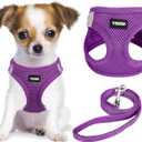 YIMEIS Dog Harness and Leash Set, No Pull Soft Mesh Pet Harness, Reflective Adjustable Puppy Vest for Small Medium Large Dogs, Cats (Purple, Medium (Pack of 1)