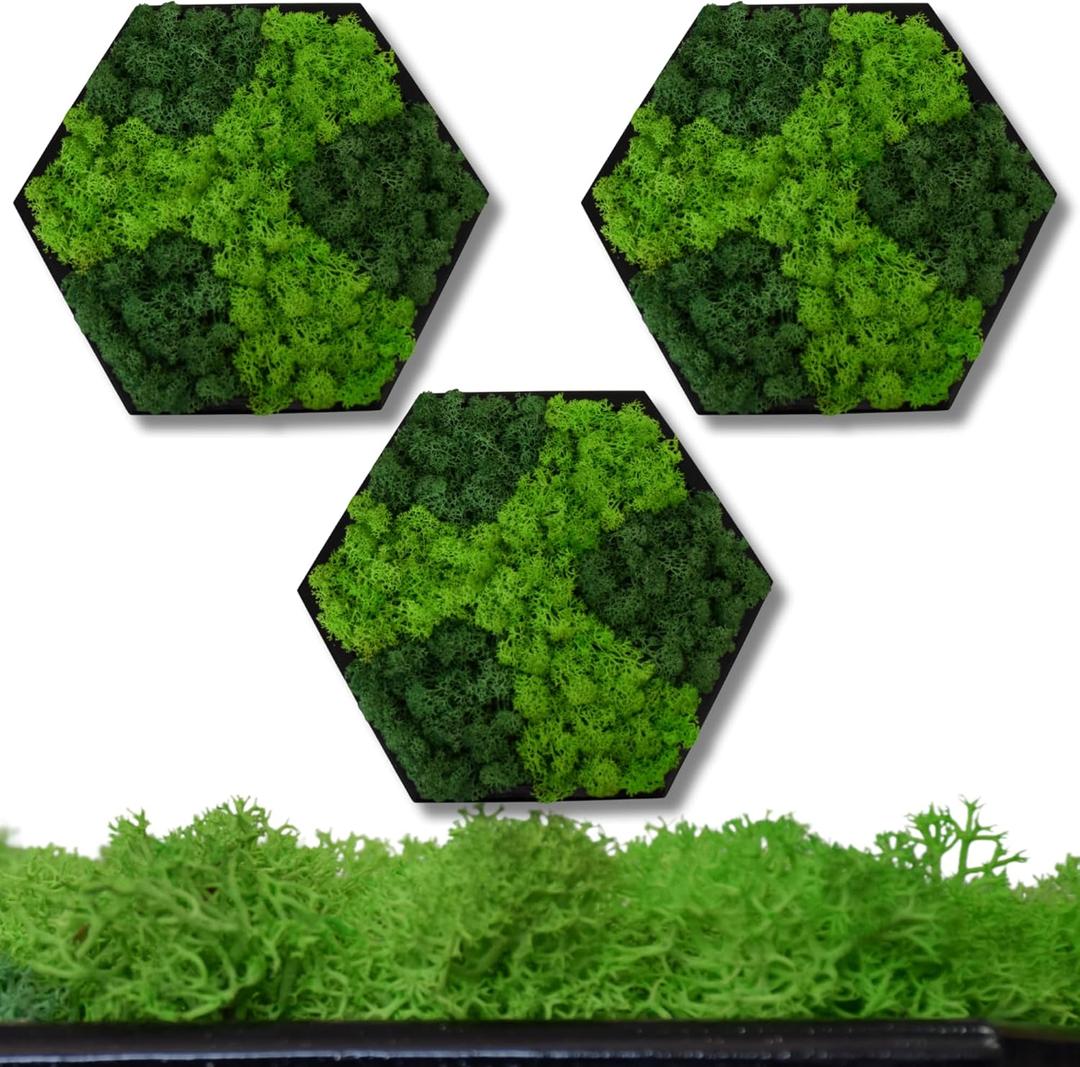 Hexagon Real Moss Wall Art  Set of 3 Eco-Friendly Natural Green Wall Decor for Living Room, Bedroom, Bathroom  Vintage Style Moss Panels for Home Interior Decoration,