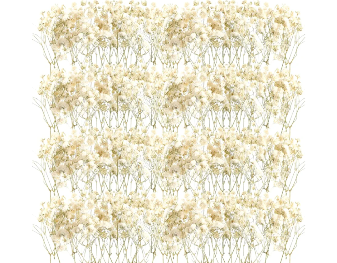 Fumete 50 Pcs Mini Dried Baby Breath Flowers Wedding Ivory Natural Flowers Bulk Dried Gypsophila for Vase Bride Shower Invitation Card DIY Candle Making Decor Craft Party Resin Art, 2-4 in