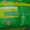 IAMS Proactive Health Minichunks Premium Dry Dog Food, Adult Dog Food Dry Recipe, 7 lb. Bag  EXP: 10/15/2025