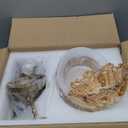 Vintage Bathroom Vanity Light, 3-Light Matte Deep Brass Finish Vanity Light with Flower-Shaped Amber Glass Shades, Retro Wall Sconce for Bathroom