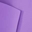Indoor Outdoor Men & Women Fitness Gym Workout 6mm One Thick Plain Yoga Mat (Purple) 27x72