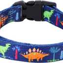 Rhea Rose Dog Collar Special Design Personalized Cute Girl Soft Collars, Medium (M(Neck 13.1"-19", Width 3/4"))